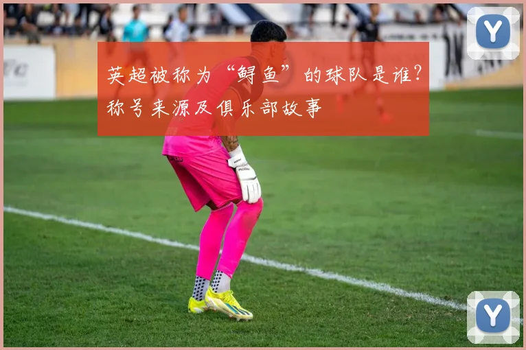 英超被称为“鲟鱼”的球队是谁?称号来源及俱乐部故事