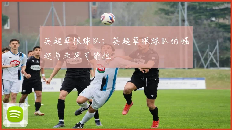 英超草根球队:英超草根球队的崛起与未来可能性